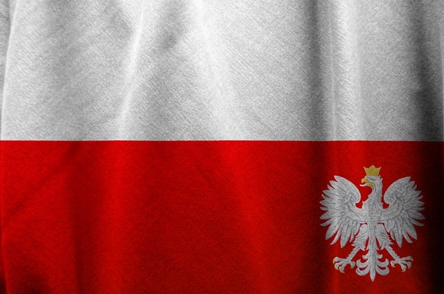 Swastika National Flag