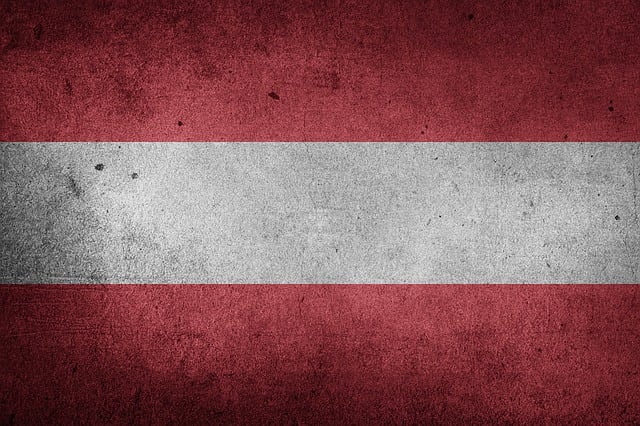 Swastika National Flag