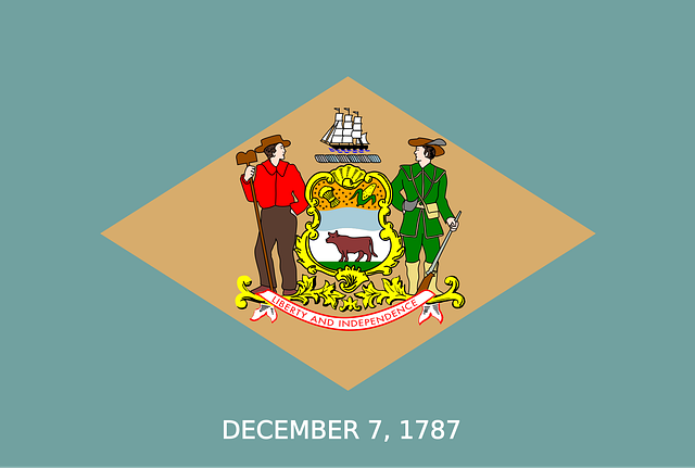us army flag