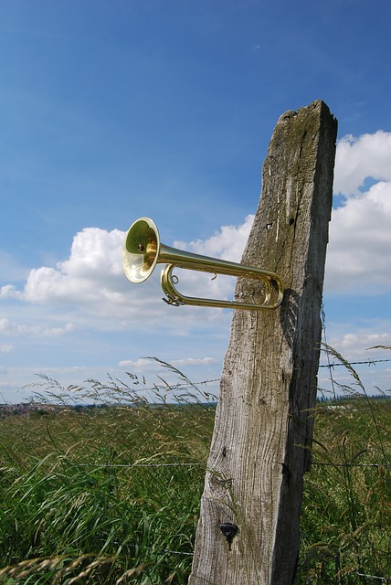 1st-cavalry-division-flag-640x480-90675025.jpeg
