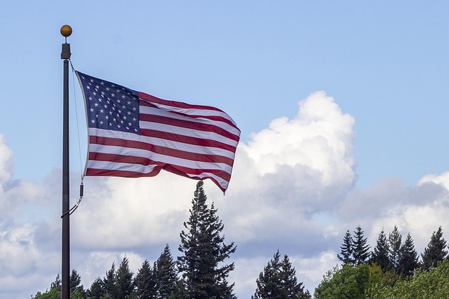48 star american flag for sale