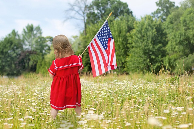 5 by 8 american flag