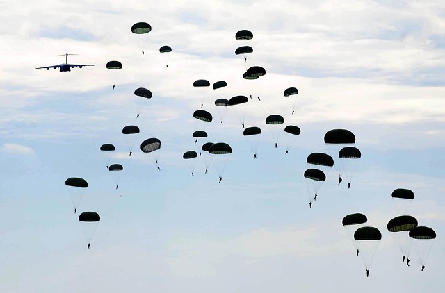 82nd airborne division flag