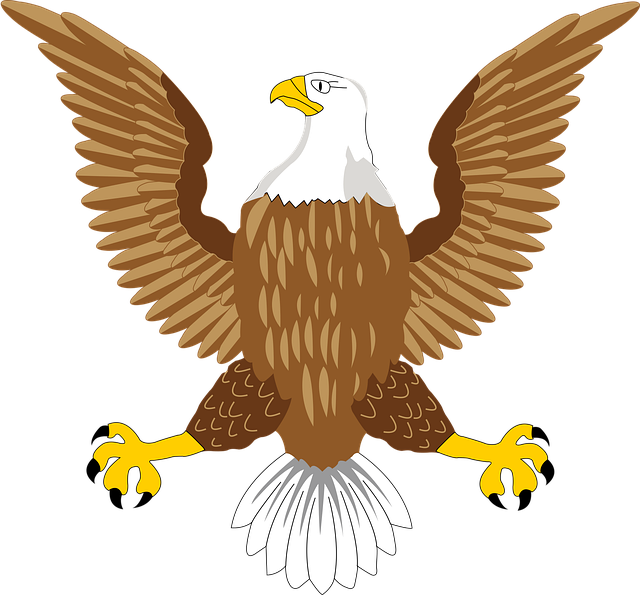 american-eagle-american-flag-640x480-16208664.png