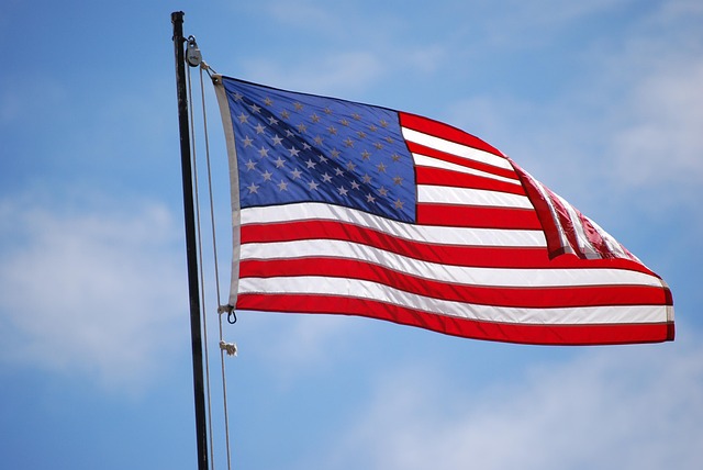 american eagle american flag