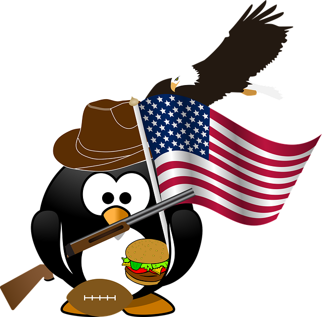 american eagle and flag