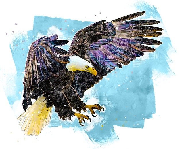 american eagle and flag