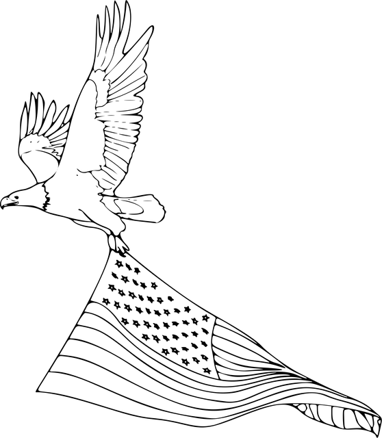 american-eagle-and-flag-640x480-61026865.png