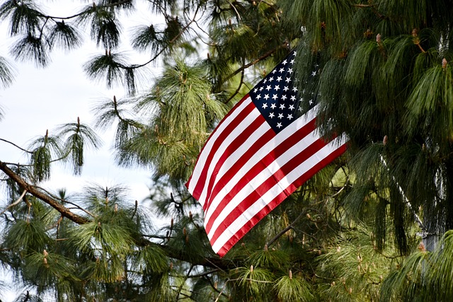 american flag 5x8
