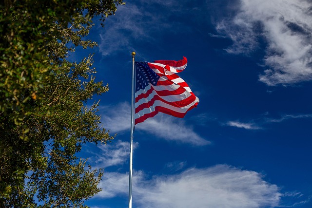 american flag 5x8