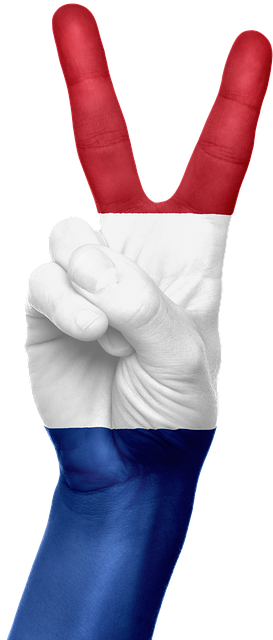 american flag peace sign
