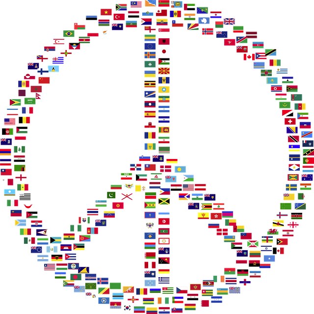american flag peace sign
