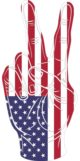 american flag peace sign