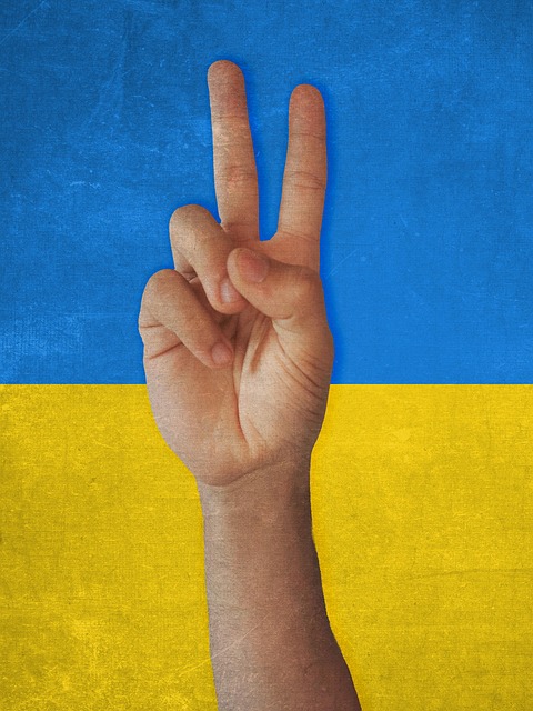 american flag peace sign