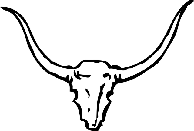 american-flag-skull-640x480-43511296.png