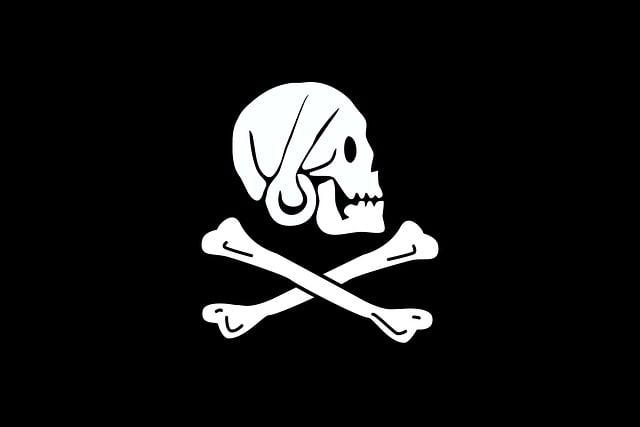 american flag skull