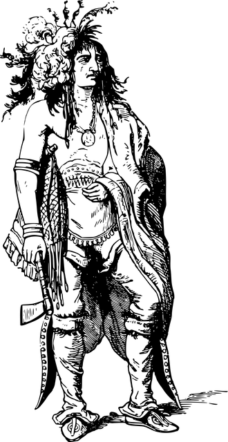 american indian flag