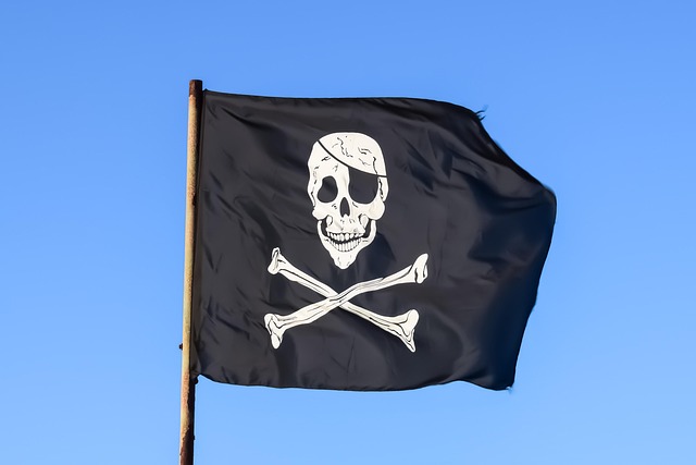 buy pirate flags