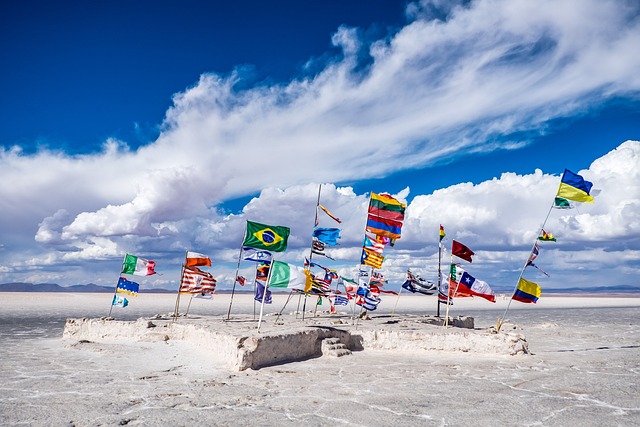 Confederate Battle Flags