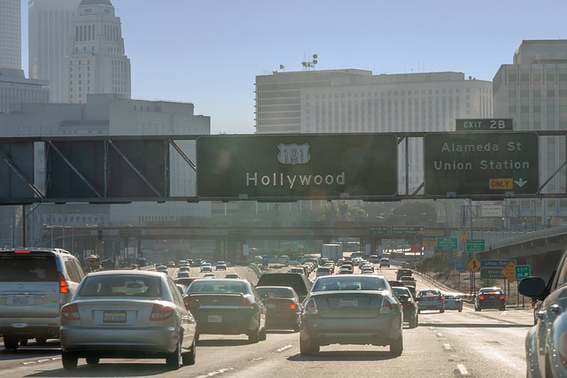 freeway-trump-flags-640x480-30303547.jpeg