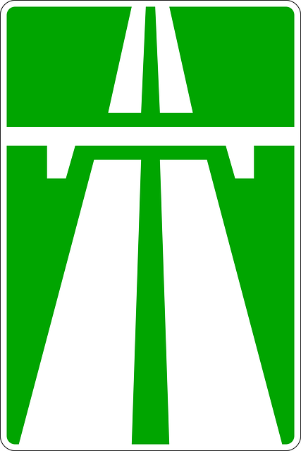 Freeway Trump Flags