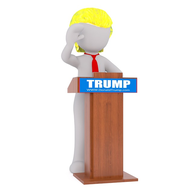 Freeway Trump Flags