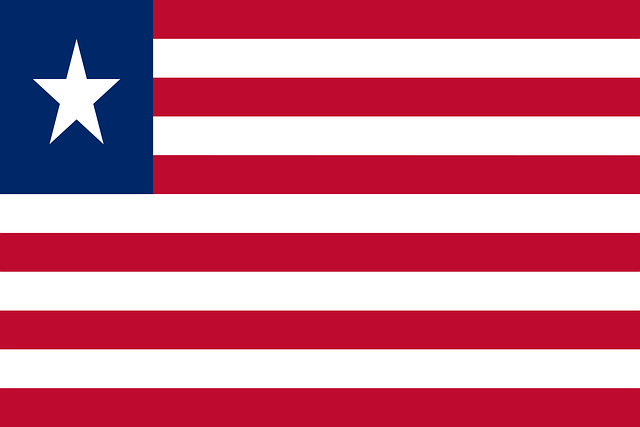 High quality reproduction First National Confederate flag