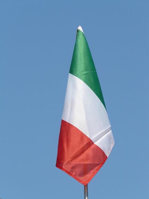 italian american flag