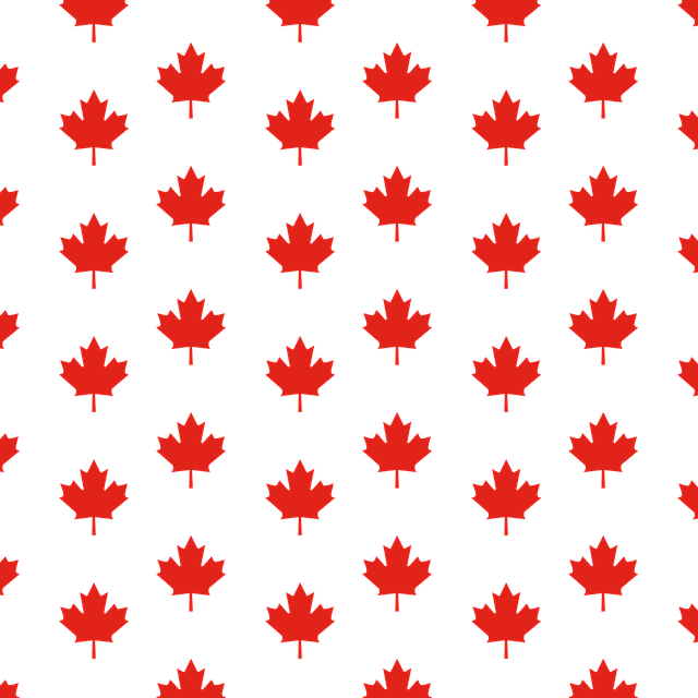 nazi party flags for sale