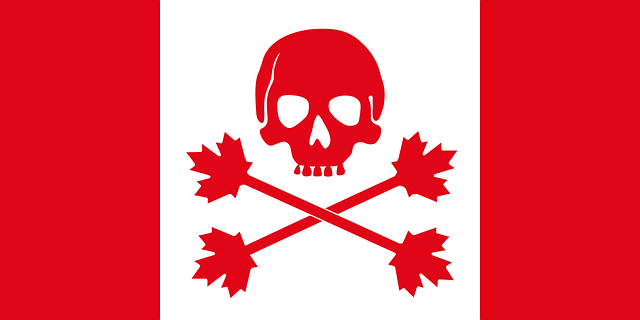 pirate flags