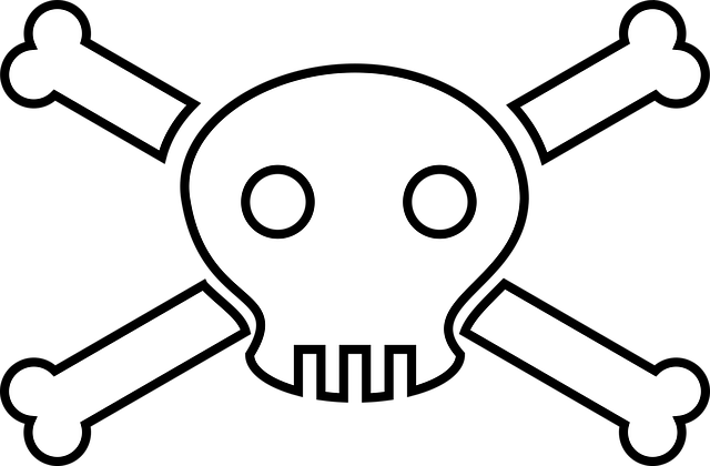 pirate flags for sale