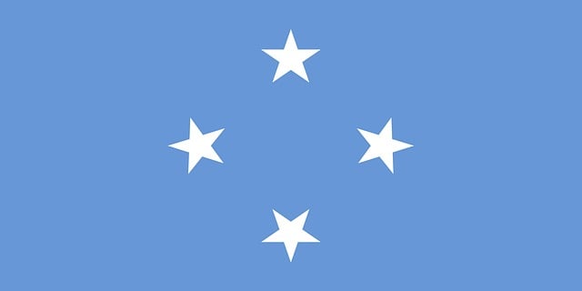 Sewn Civil War Flags