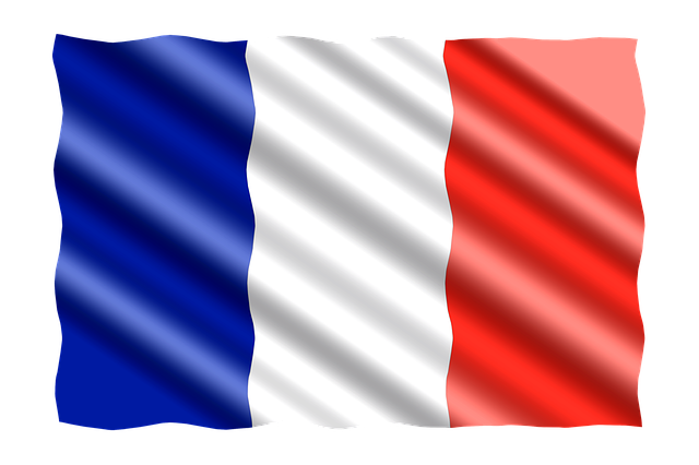 SS Flags