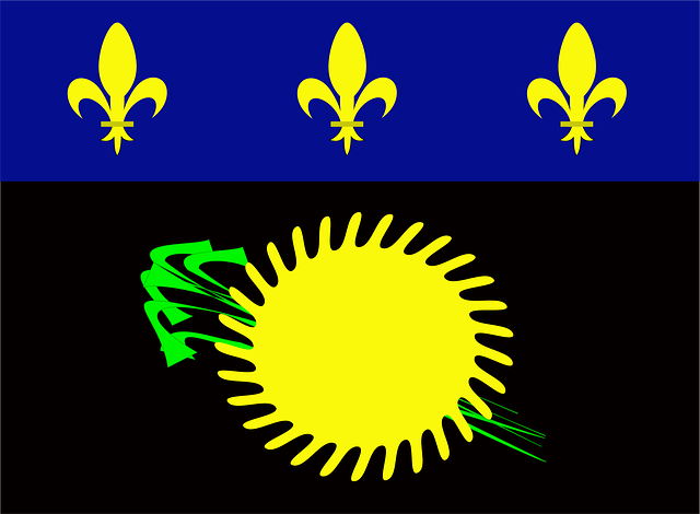 SS Flags