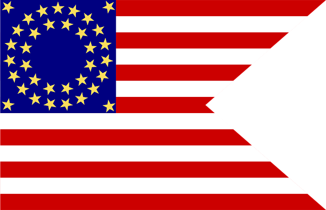 Stars and Bars Flags