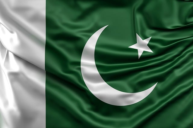 Swastika National Flag
