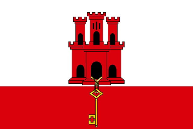 Swastika National Flag