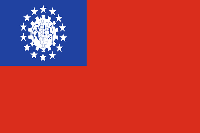Swastika National Flag