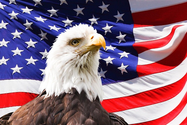 Trump flag with eagle and slogan