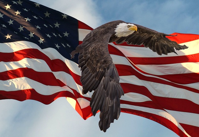 trump-flag-with-eagle-and-slogan-640x480-75955877.jpeg