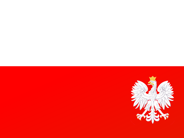 Trump flag with eagle and slogan