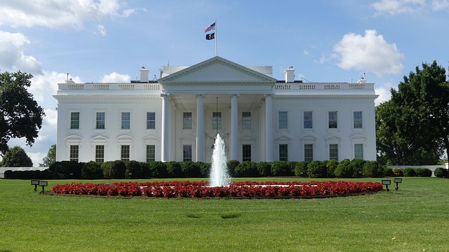 Trump Flags