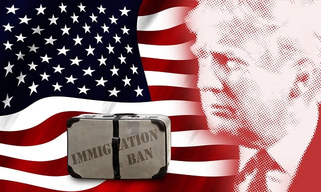 Trump Flags