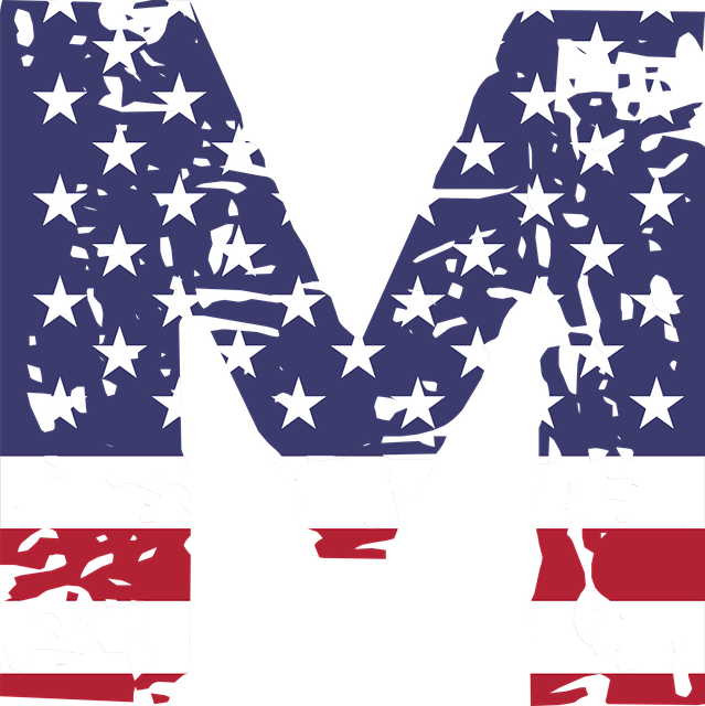 us army flag