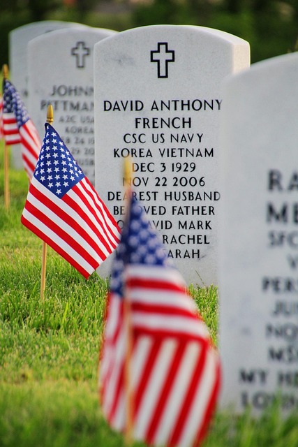 us army flag