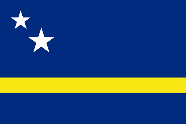 us army national guard flag