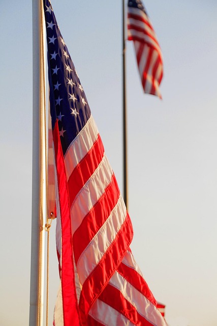 us army reserve flag