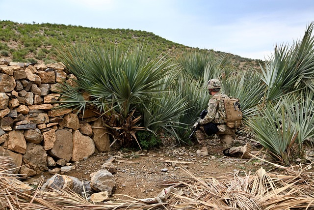 us army special forces