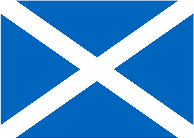 Wehrmacht cross emblem Flag