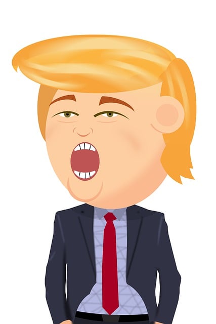 Trump Flags